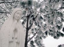 our-lady-of-fatima-statue