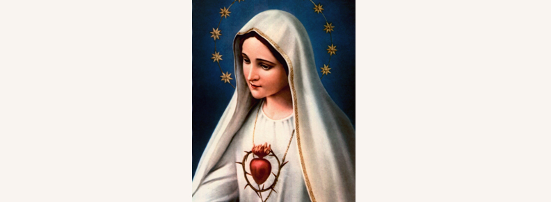 Sacred Heart of Jesus, Immaculate Heart of Mary and Family Feature Friday:  Wall-E — Our Lady of Mount Carmel