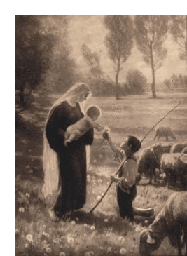 Adoration of the Shepherd  Christmas card