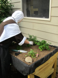 Sister planting new herb garden