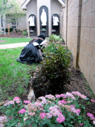 Sister working in the new courtyard