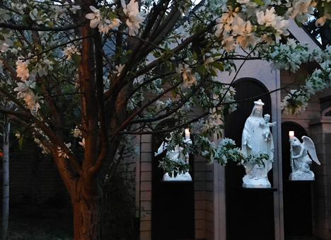 Our courtyard in the early evening