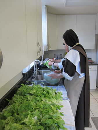 Washing lettuce from the garden