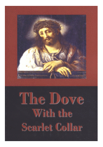 The Dove with the Scarlet Collar Book