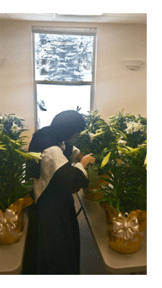Sister prepares the lillies for the altar