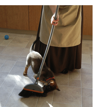 Zelie's favorite toy, the broom!